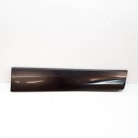 Ford Kuga II Front door trim (molding) CV4JS20306AHW