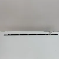 Hyundai Ioniq Front door glass trim molding 82210G2010