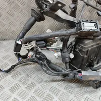 Toyota Hilux (AN120, AN130) Faisceau de câblage pour moteur 82112KK010