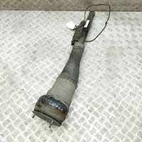 Mercedes-Benz S W222 Ammortizzatore/sospensione pneumatica A2223200313