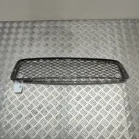 BMW X5 E70 Front bumper lower grill 7163956