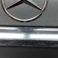 Mercedes-Benz E W213 Galinis dangtis (bagažinės) A2137503400