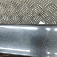 Audi Q7 4L Listón embellecedor de la puerta delantera (moldura) 4L0853960A