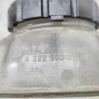 Mercedes-Benz S W222 Serbatoio di compensazione del liquido refrigerante/vaschetta A2225000549