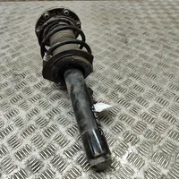 BMW 3 GT F34 Front shock absorber/damper 6873779