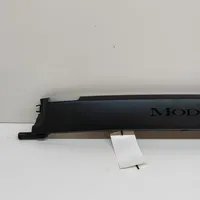 Tesla Model X Muu sisätilojen osa 105841900L