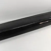 Tesla Model 3 Door glass trim 108068100E