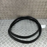 BMW 3 GT F34 Rubber seal front coupe door 7385025