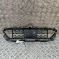 BMW 3 GT F34 Front bumper lower grill 8057191