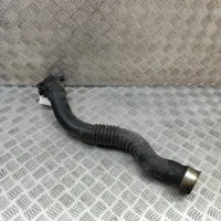 BMW 3 GT F34 Manguera/tubo del intercooler 7597592