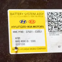 KIA EV6 Hybrid/electric vehicle battery 37501CV051