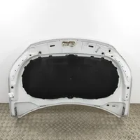 Volkswagen Tiguan Engine bonnet/hood 5N0823031D