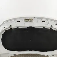 Volkswagen Tiguan Engine bonnet/hood 5N0823031D