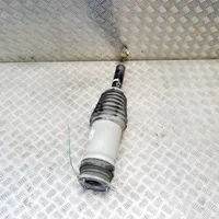 Tesla Model X Shock absorber/damper/air suspension 102746100G