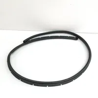 BMW 8 G15 Rubber seal front door (on door) 7424854