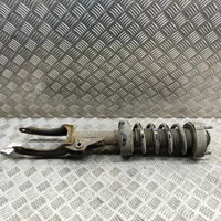 Porsche Cayenne (92A) Ammortizzatore anteriore 95834304401