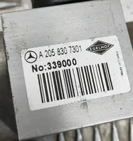 Mercedes-Benz C W205 Ilmastointilaitteen putki (A/C) A2058305804