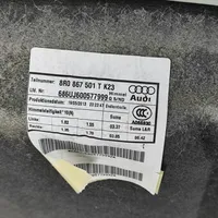 Audi Q5 SQ5 Techo 8R0867501T