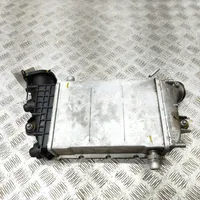 Mercedes-Benz E W213 Starpdzesētāja radiators A6420900414