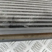 Nissan Pathfinder R51 Chłodnica powietrza doładowującego / Intercooler 14461EB360