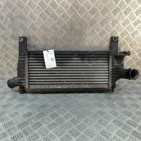 Nissan Pathfinder R51 Chłodnica powietrza doładowującego / Intercooler 14461EB360