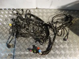 Audi RS6 C6 Other wiring loom 