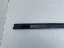 Audi A4 S4 B6 8E 8H Altro elemento di rivestimento della portiera posteriore 8E0867420G