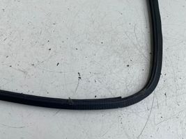 Toyota Previa (XR30, XR40) II Rubber seal rear door window/glass 