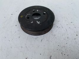 Nissan Pathfinder R51 Water pump pulley 