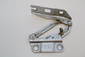 Mercedes-Benz ML W164 Cerniere del vano motore/cofano A2518800228