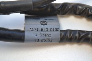Mercedes-Benz SLK R171 Плюсовый провод (аккумулятора) A1715400130