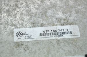 Volkswagen Beetle A5 Collecteur d'admission 03F129711H