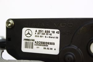 Mercedes-Benz R W251 Citu veidu instrumenti A2518201842