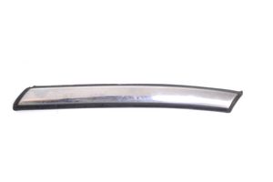 Mini One - Cooper Coupe R56 Door glass trim 