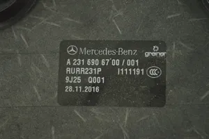 Mercedes-Benz SL R231 Autres pièces intérieures A2316906700