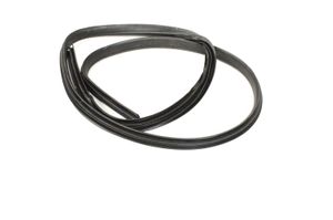 Ford Focus Rubber seal front coupe door 