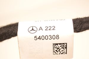 Mercedes-Benz S W222 Wiązka przewodów drzwi przednich A2225400308