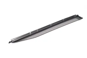 Toyota Prius (XW50) Rear door glass trim molding 