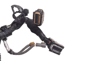 Infiniti Q50 Faisceau de câblage pour moteur 240114HK6B