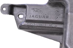 Jaguar F-Type Žibintų apiplovimo bakelis EX5317B613AF