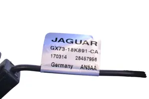 Jaguar XF X260 Amplificatore antenna GX7318K891CA