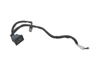 Hyundai Santa Fe Connettore plug in AUX 961202W500