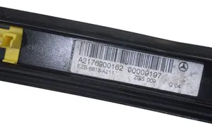 Mercedes-Benz S C217 Moulures, baguette de toit A2176900162