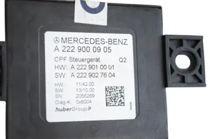 Mercedes-Benz S C217 Moduł / Sterownik Video A2229027604