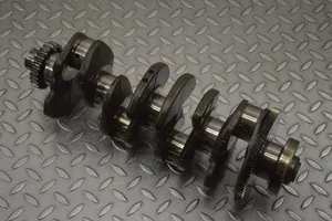 Volkswagen PASSAT B8 Crankshaft 04LDEV160