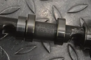 Volkswagen Polo V 6R Camshaft 03P101