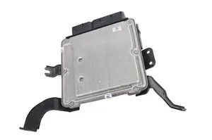 Hyundai Santa Fe Sterownik / Moduł ECU 391012F300