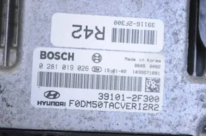 Hyundai Santa Fe Sterownik / Moduł ECU 391012F300