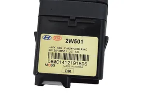 Hyundai Santa Fe Câble adaptateur AUX 961202W501