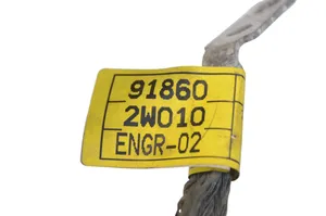 Hyundai Santa Fe Cable negativo de tierra (batería) 918602W010